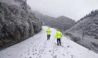 为什么冻雨比雪更可怕